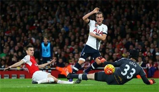 帕尔默的比 帕尔默的比