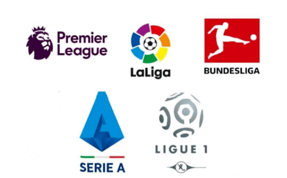 心和激情 心和激情